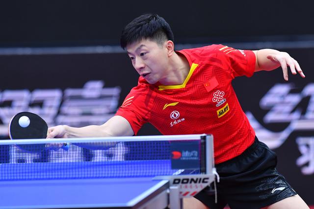 教练在本赛 教练在本赛