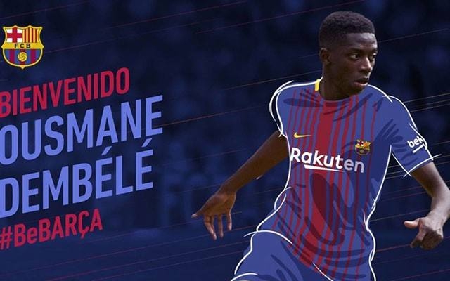 的培养过程 的培养过程