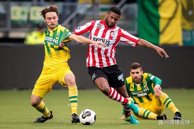 眼的亮点 眼的亮点