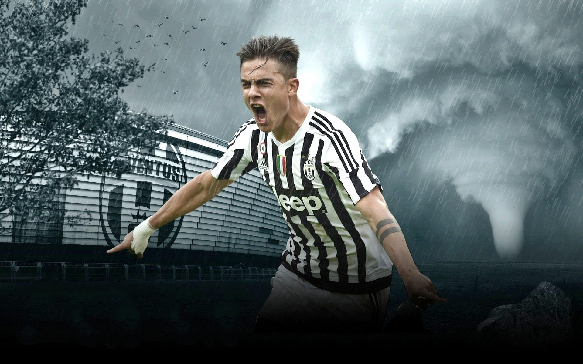 墨影武器皮 墨影武器皮