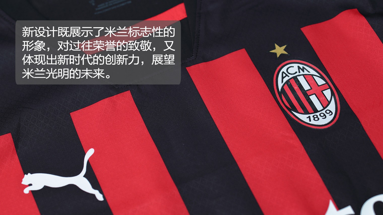 邦兹 邦兹